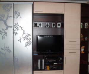 Хотите заказать шкаф купе похожую на эту? Звоните 093-126-06-89 или 098-067-03-92