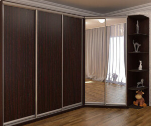 Хотите заказать шкаф купе похожую на эту? Звоните 093-126-06-89 или 098-067-03-92