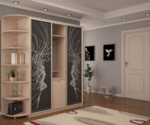 Хотите заказать шкаф купе похожую на эту? Звоните 093-126-06-89 или 098-067-03-92