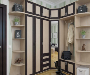 Хотите заказать мебель в прихожую похожую на эту? Звоните 093-126-06-89 или 098-067-03-92