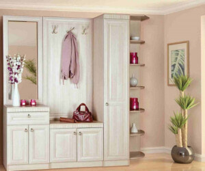 Хотите заказать мебель в прихожую похожую на эту? Звоните 093-126-06-89 или 098-067-03-92