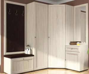 Хотите заказать мебель в прихожую похожую на эту? Звоните 093-126-06-89 или 098-067-03-92
