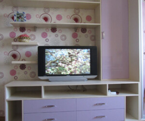 Хотите заказать мебель в детскую похожую на эту? Звоните 063-560-11-56 или 098-362-90-90